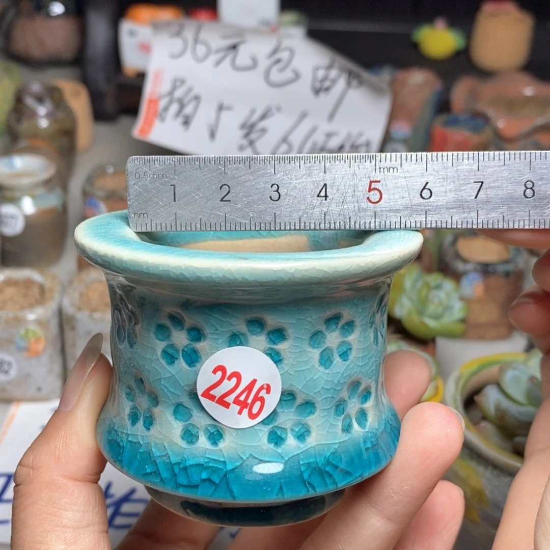 拍5送一个小礼物