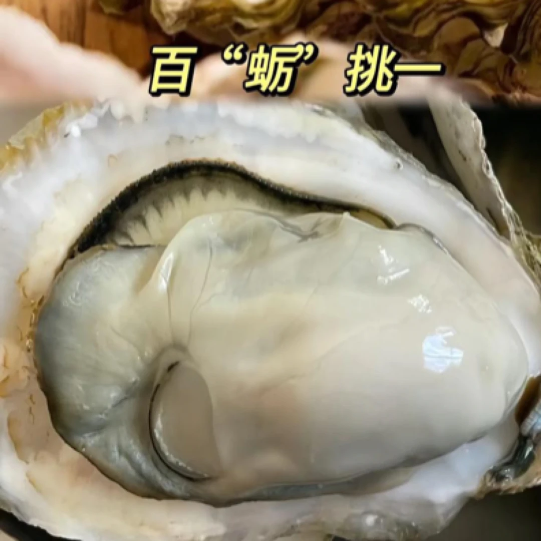 乳山4+蚝（2个）