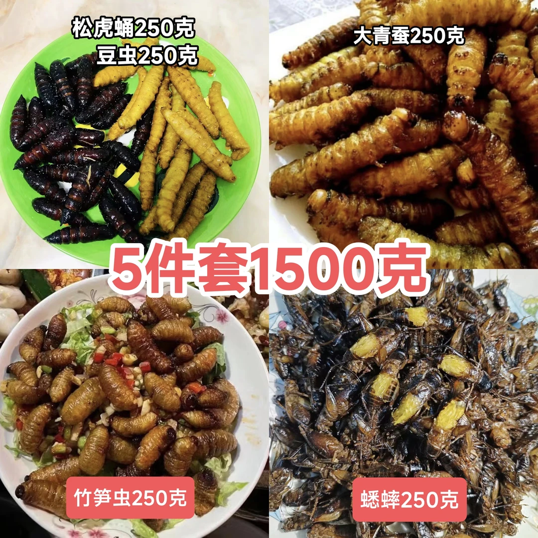 【5件套共1500克】:豆虫青蚕笋虫松蛹各250克，蟋蟀500克火锅食材