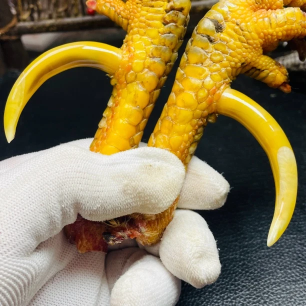 鑫源骨艺鸡爪骨手把件蜜蜡黄弯钩一对