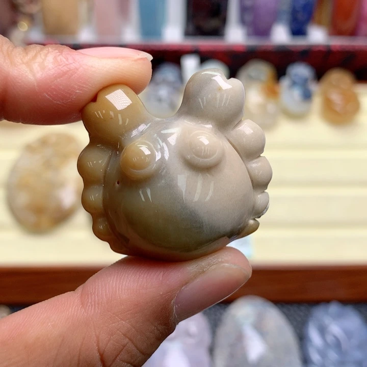硅化珊瑚（珊瑚玉）未镶嵌颈饰