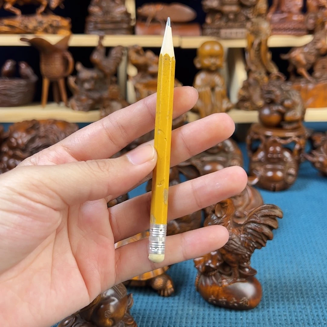 黄杨木敏***。小叶黄杨木账房先生高18