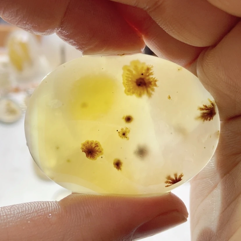 【闪购商品】玛瑙/玉髓颈饰未镶嵌