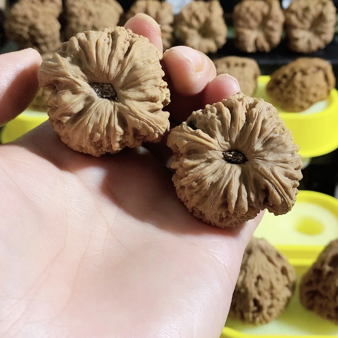 木质类今天的我是个