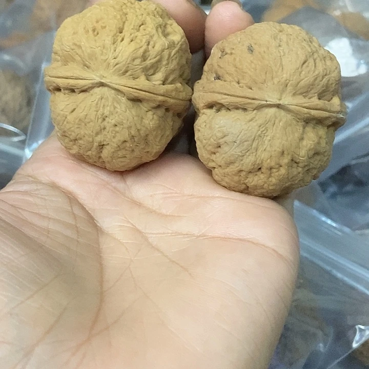 文玩核桃把件云南铁核桃基地58