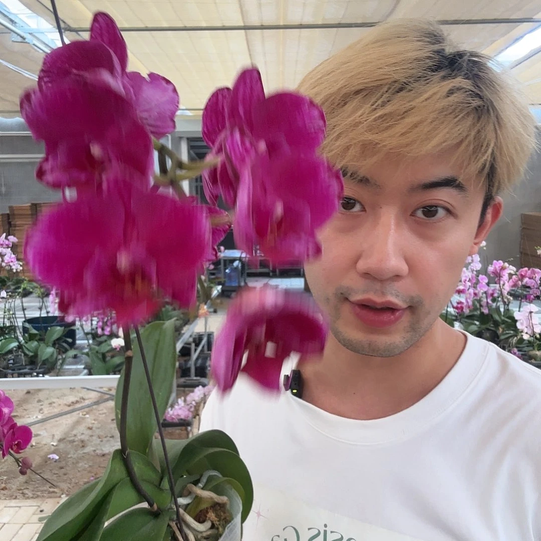 完全开放光芒3，5