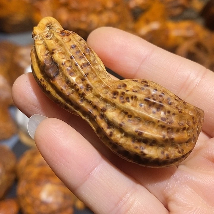 柏木太行崖柏陈化