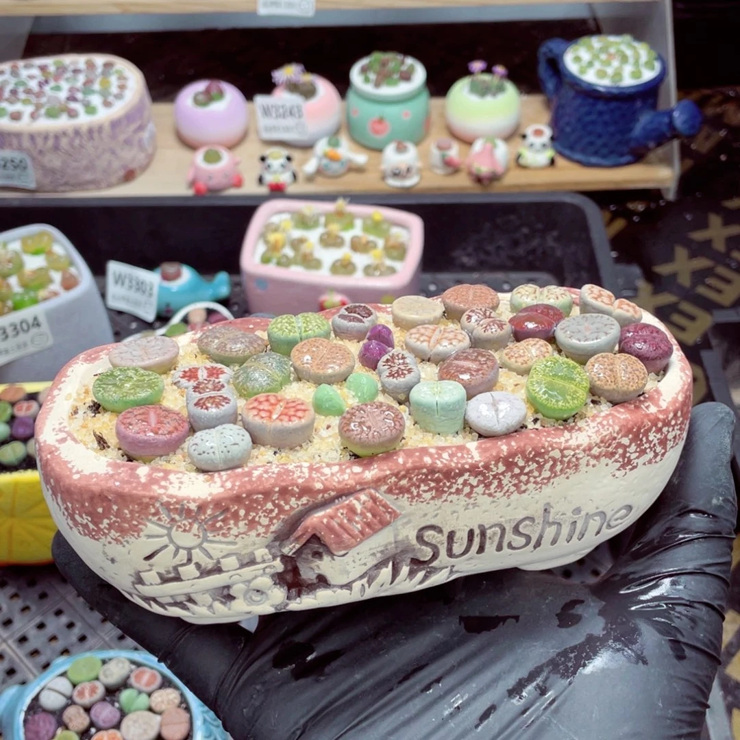 夜间零下地区拍保温箱w3306