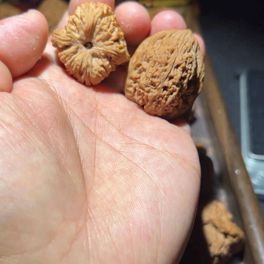 瑞麟文玩核桃逐鹿南疆手捻