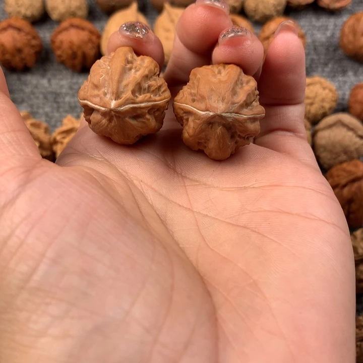 猫**、粗筋八棱。