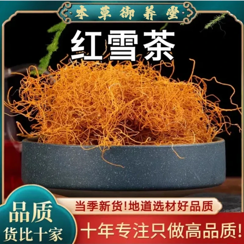 高原4000米西藏冷杉金丝红雪茶 泡茶泡水 夏季 地道选材 100g/袋Z