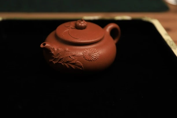 【小雏菊】一物见春