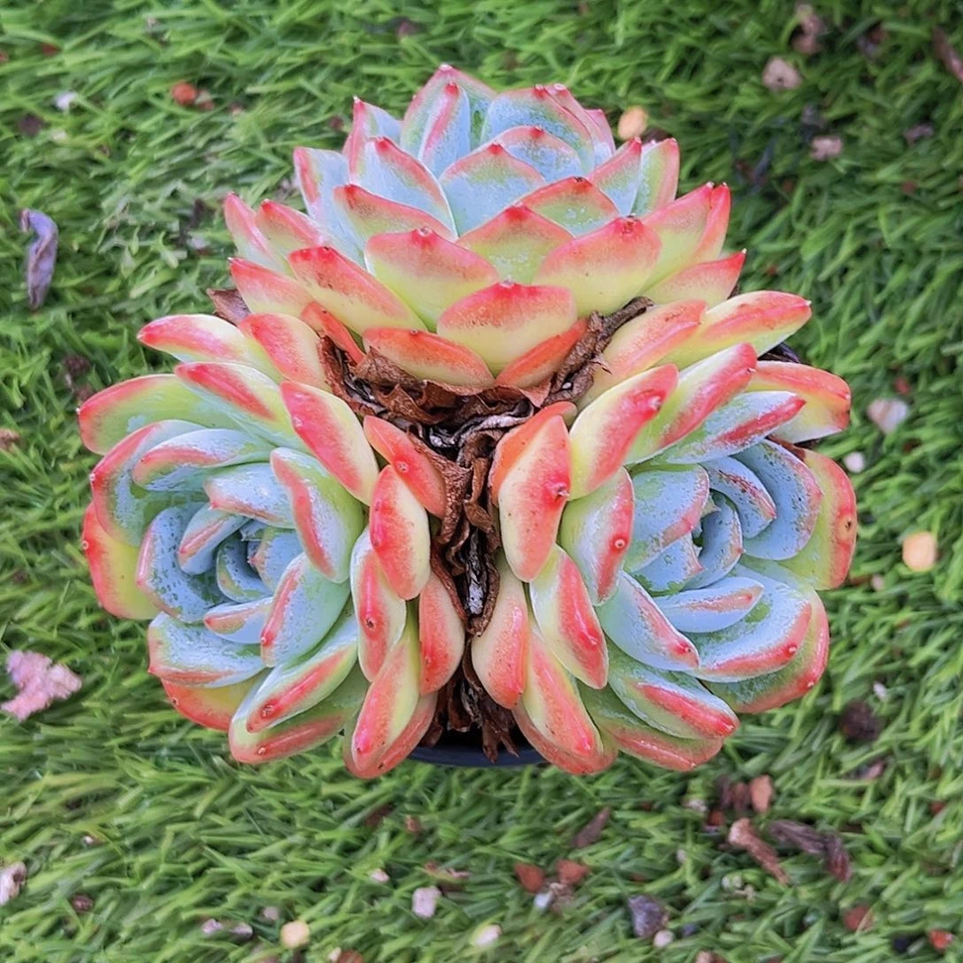 18号98889889898988988