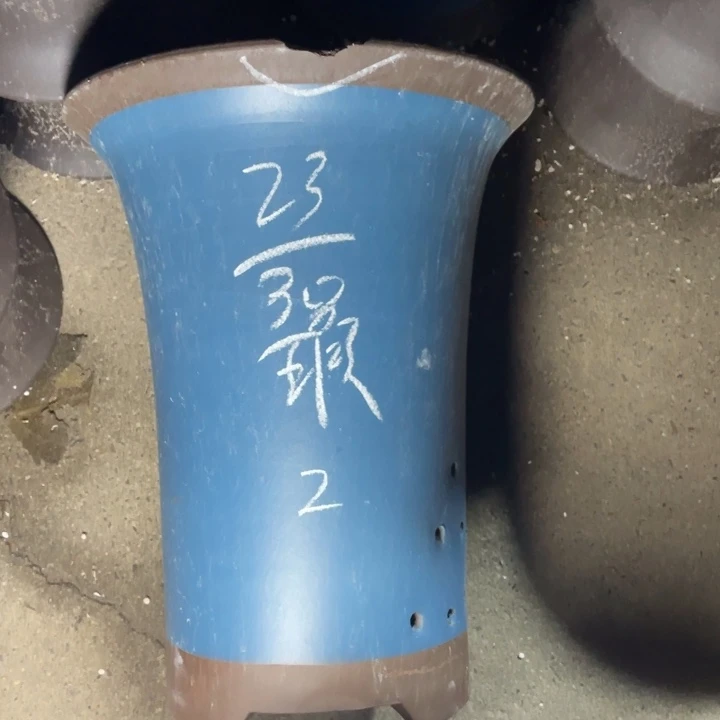 周深周深周深周深周深周深