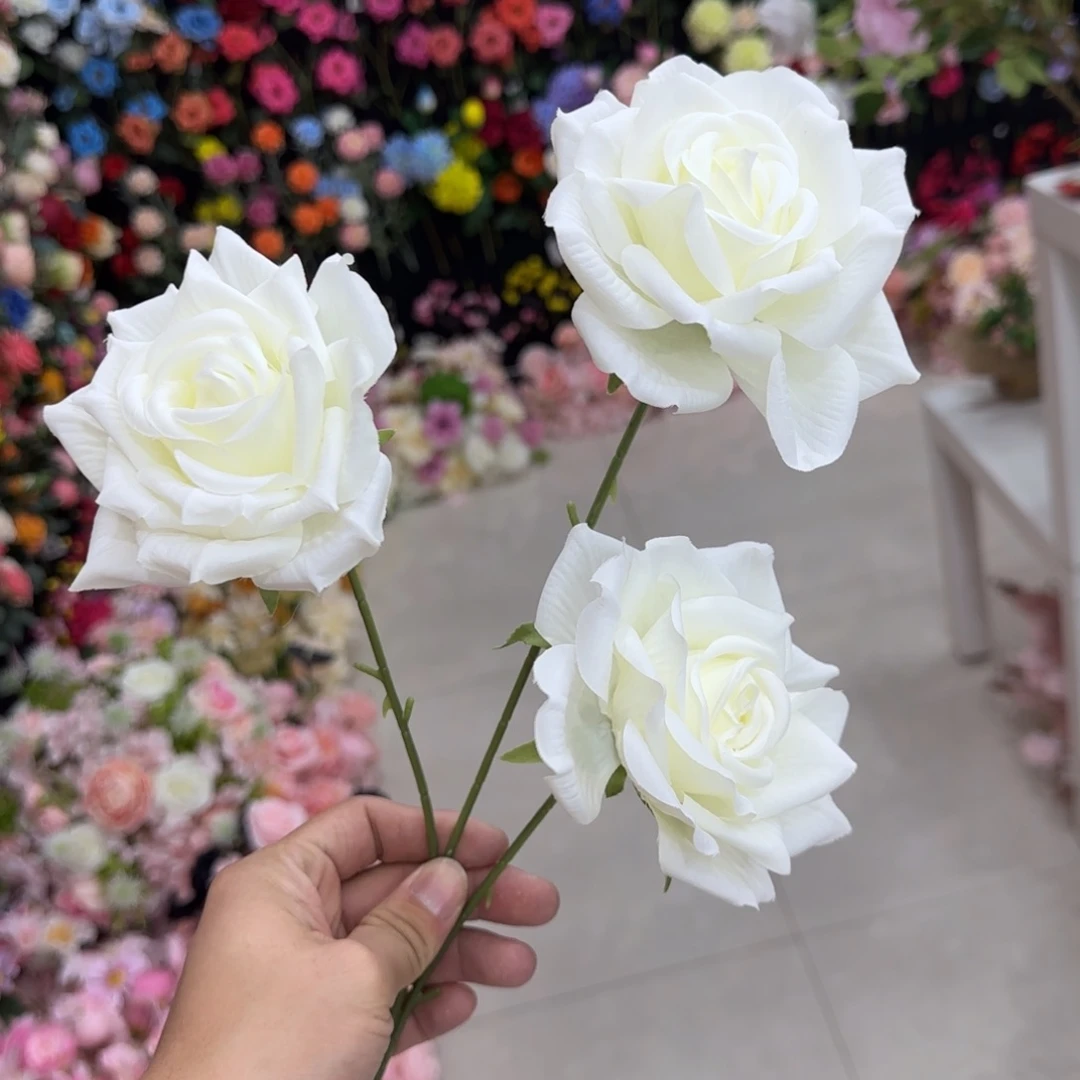 10支包邮 无售后