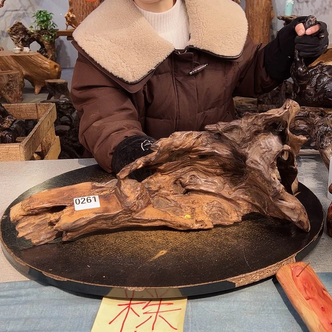 木大*261 hcccxxcxcxcxccvvb