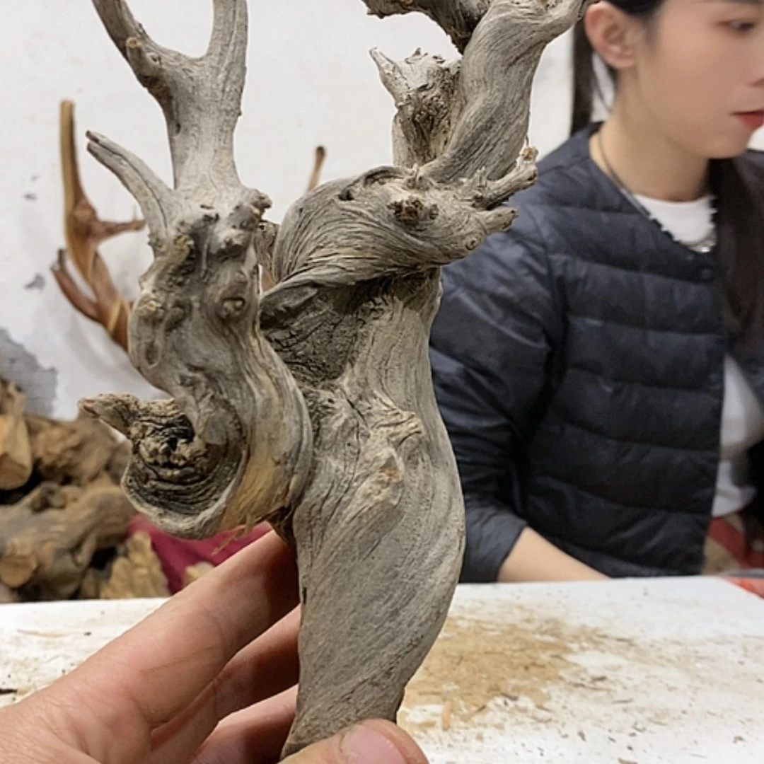 【闪购商品】柏木用****8我们都是好孩子