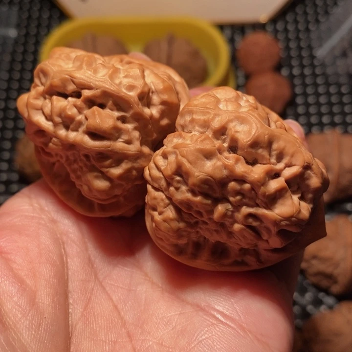 文玩核桃把件四开八腿三角箭毒wa王