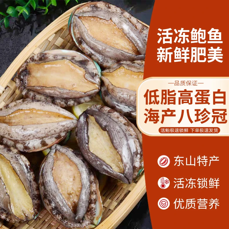 东山岛速冻鲍鱼3-4头鲍8-9cm/只海鲜水产速冻锁鲜海捕鲍鱼