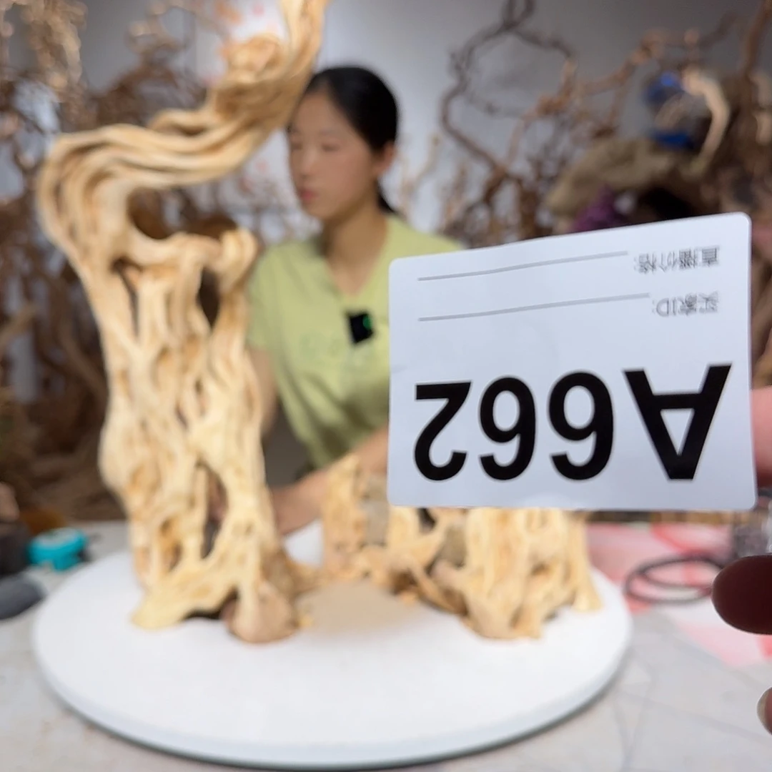 风车木（黑檀木）景****具