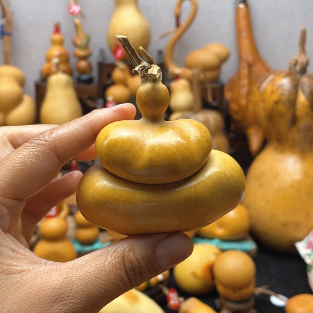 ?*大自然的秘密第十节第一节第二