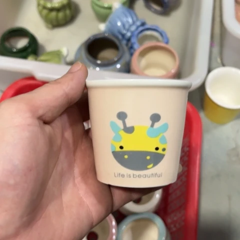 ［所有订单凑满15包邮］6+6