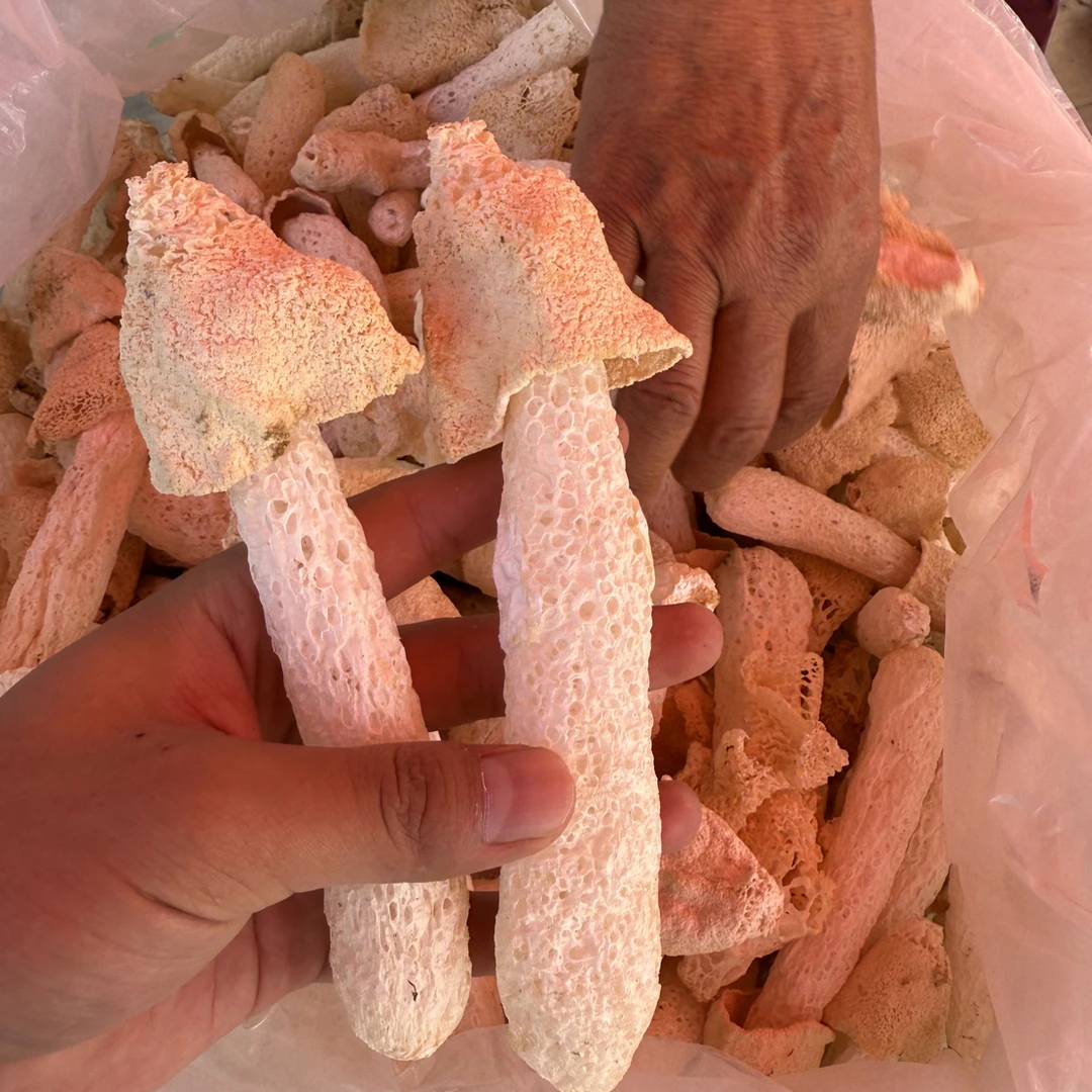 竹荪干货菌菇汤包火锅煲汤食材提鲜滋补