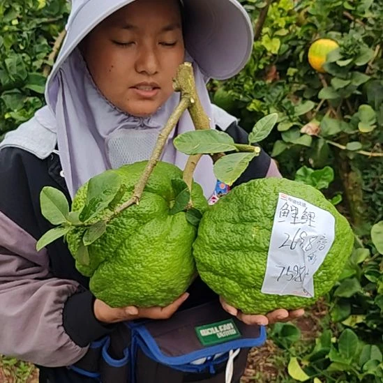 发货下班吃饭好烦就烦