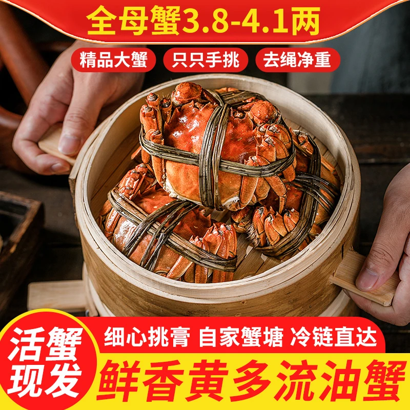 【活蟹】江苏兴化大闸蟹全母蟹3.8-4.1两8只/10只现货京东顺丰包邮
