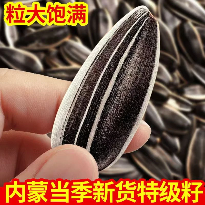 【内蒙】产地直发精品大颗粒长葵花籽零食