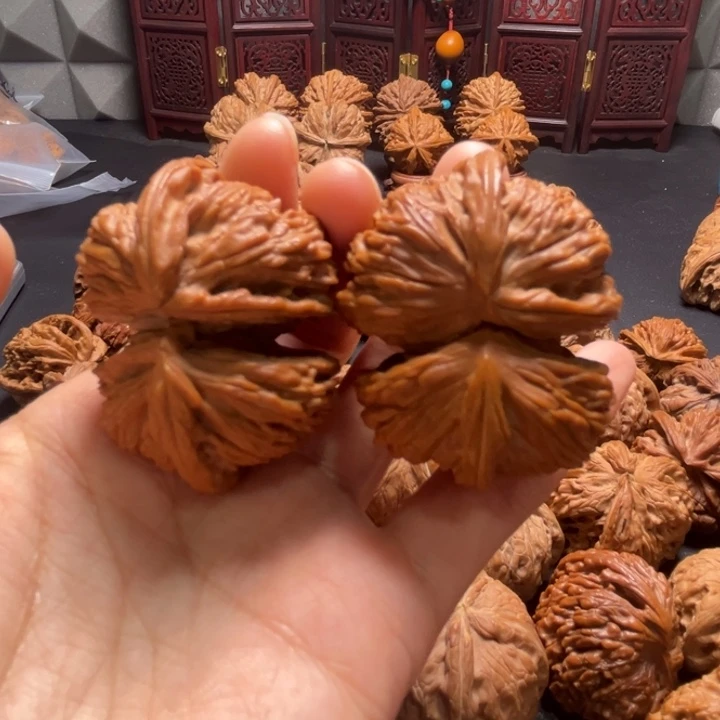 全品白狮子连体46尺寸核桃哈哈哈哈哈