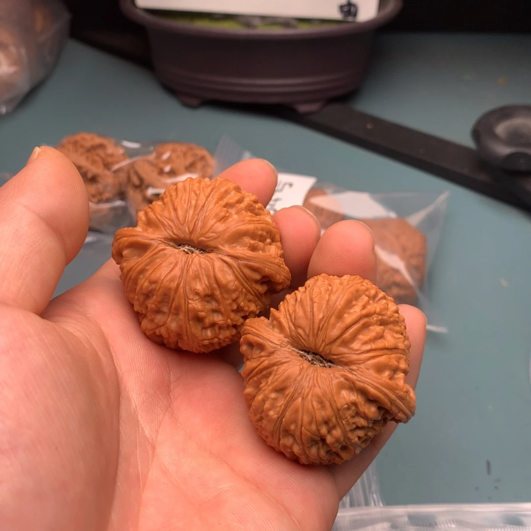 文玩核桃把件随*泥鳅103