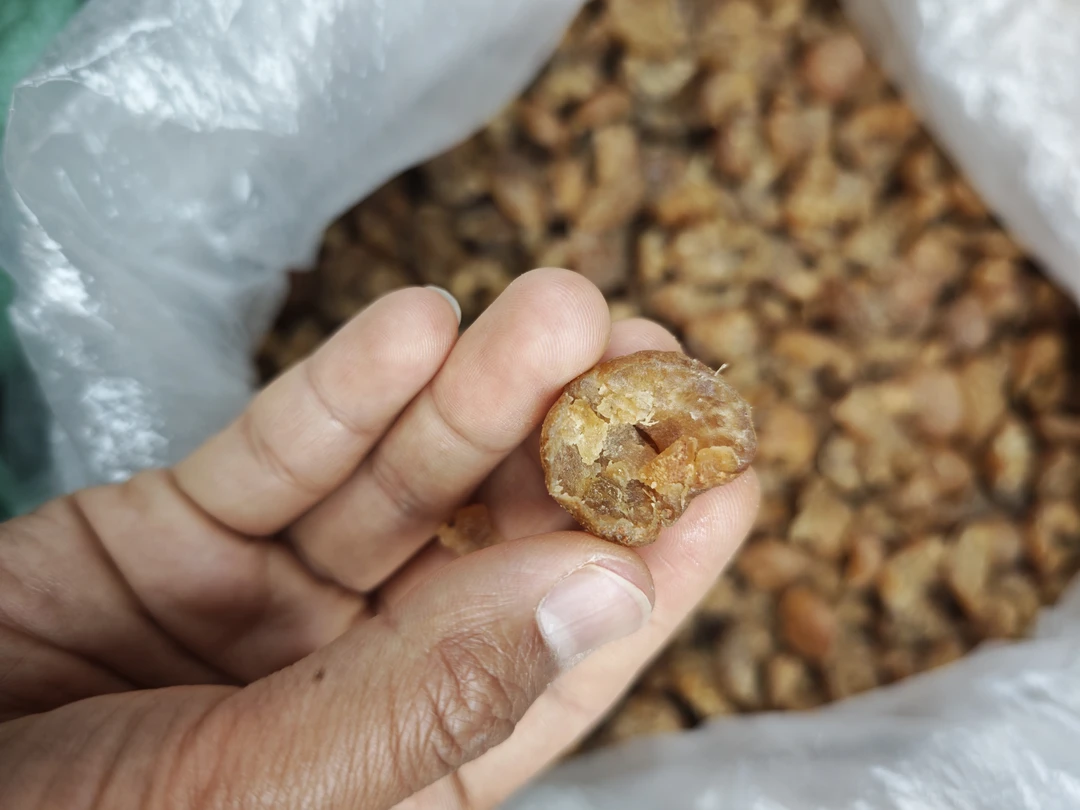 橄榄干/云南滇橄榄特色橄榄干