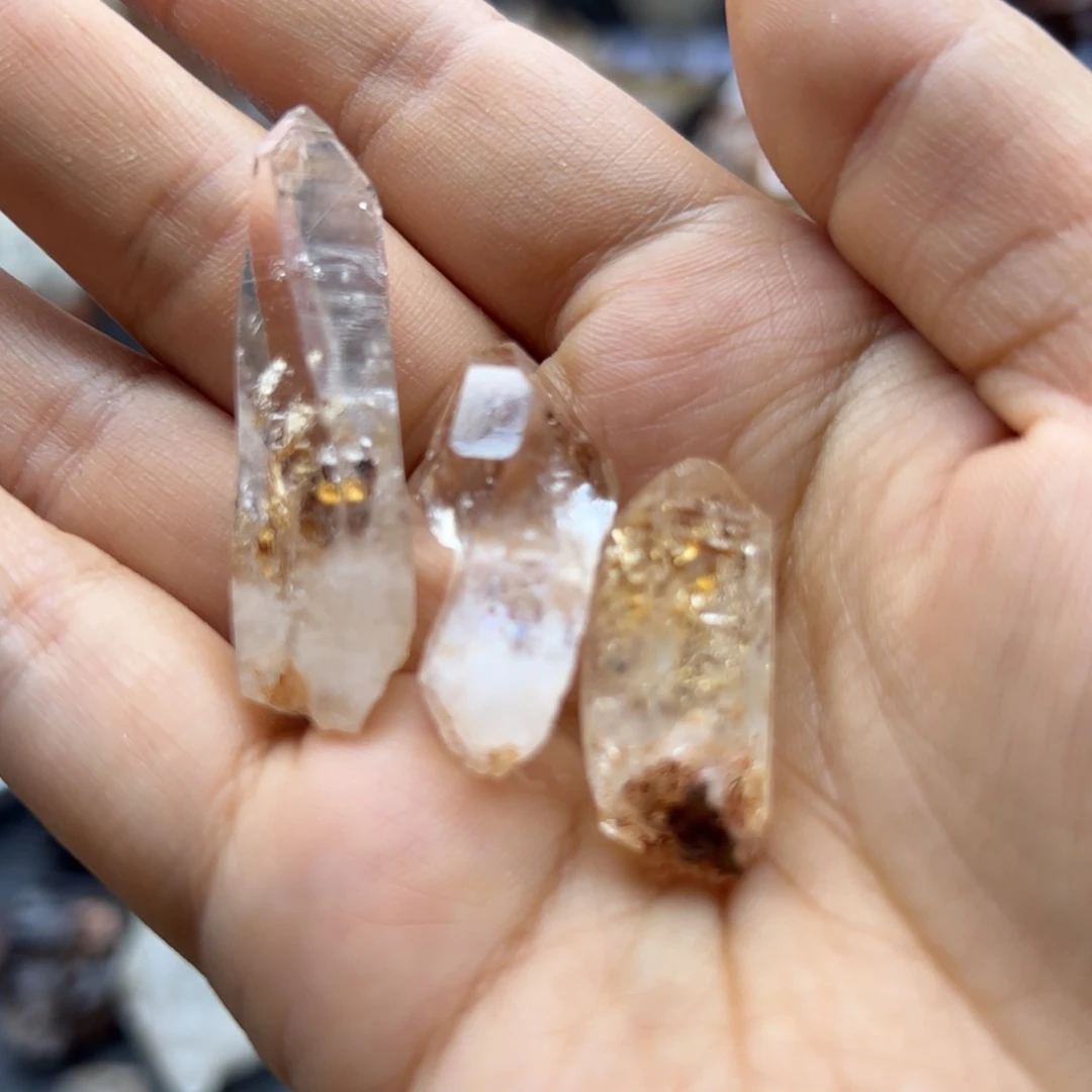 糯****石材三颗满油红泥骸骨