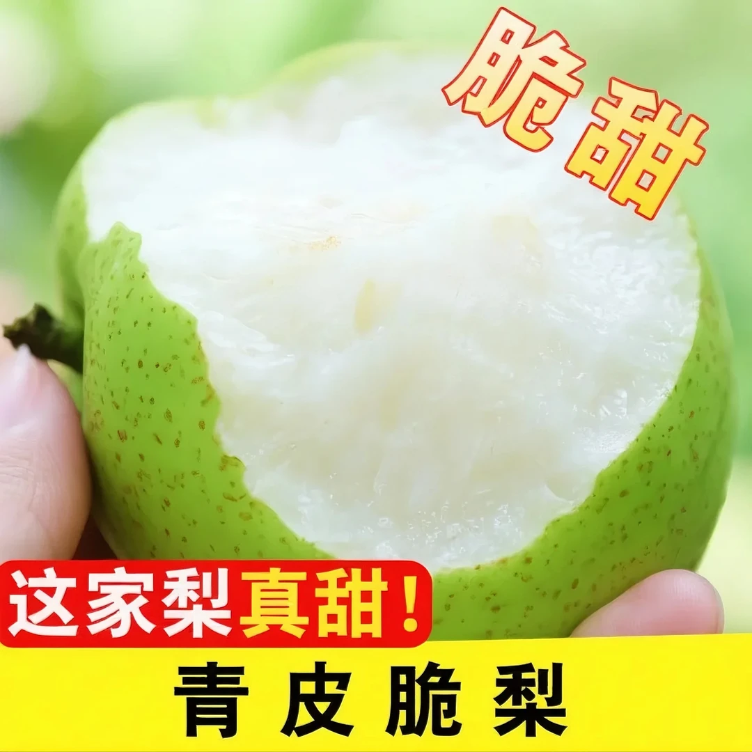 脆皮青梨砀山青皮蜜梨5斤爆甜无渣新鲜水果梨子砀山梨爽口汁甘甜