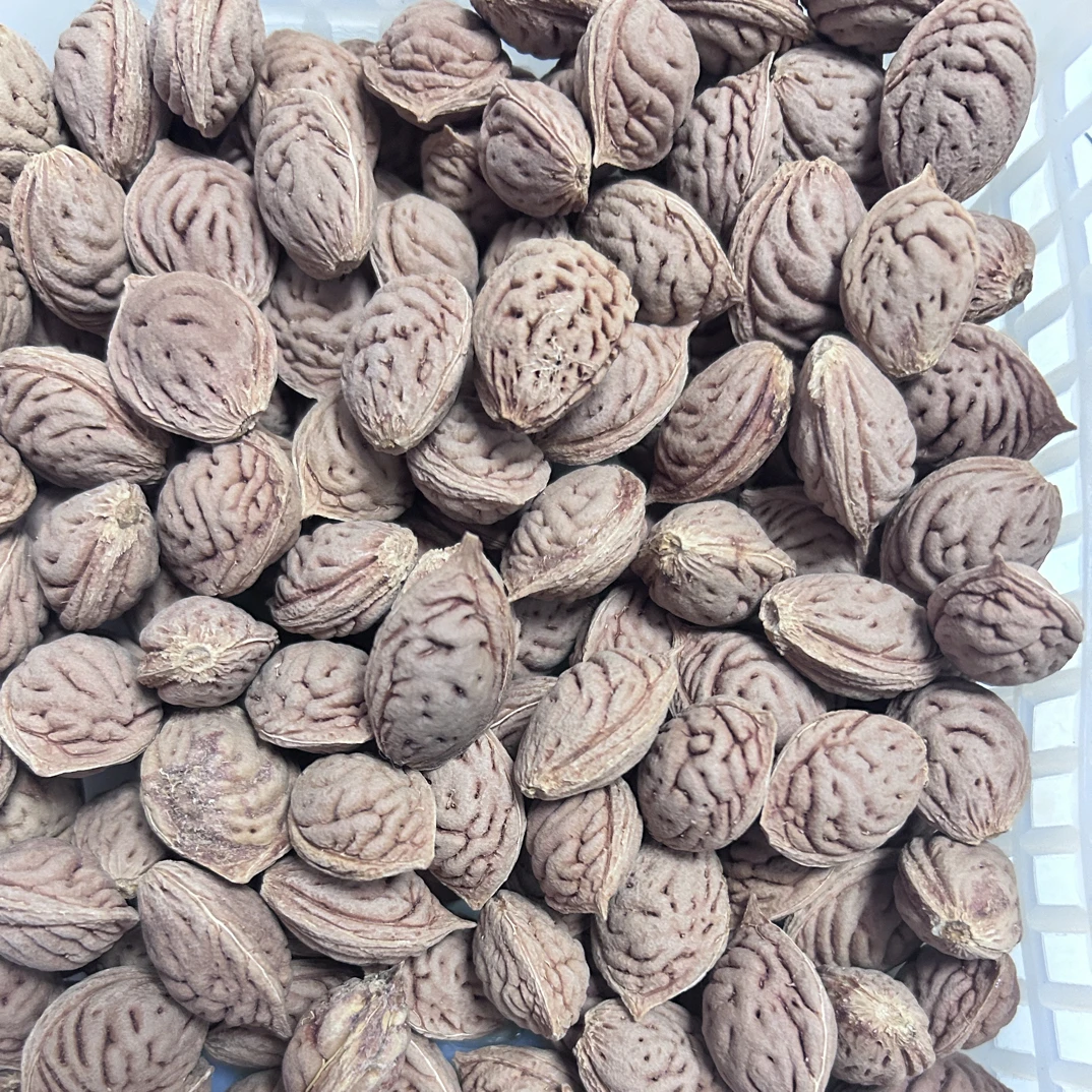 小麦色 碧桃核 手串 雕刻 首料