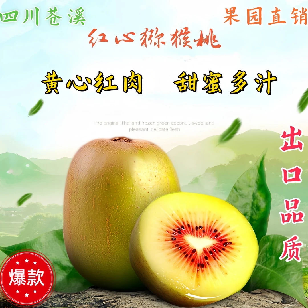 四川苍溪红心猕猴桃当季新鲜水果香甜孕妇可食用