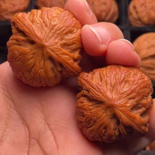 文玩核桃把件秦岭山脉核桃