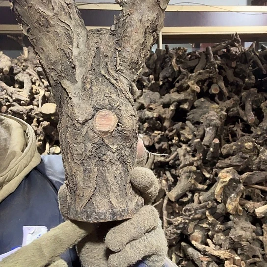 香榧木拉****o火琉璃的故事毛料摆件