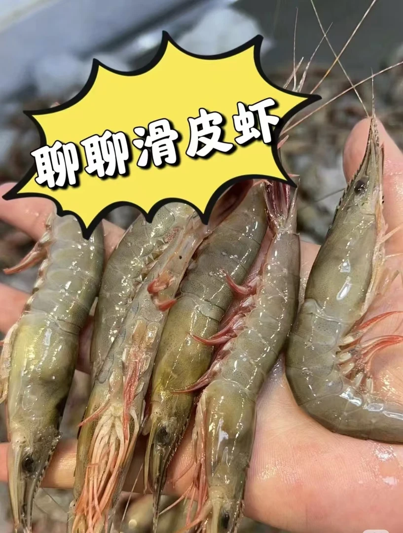 东海野生海捕滑皮虾剑虾金钩虾（大号）顺丰包邮