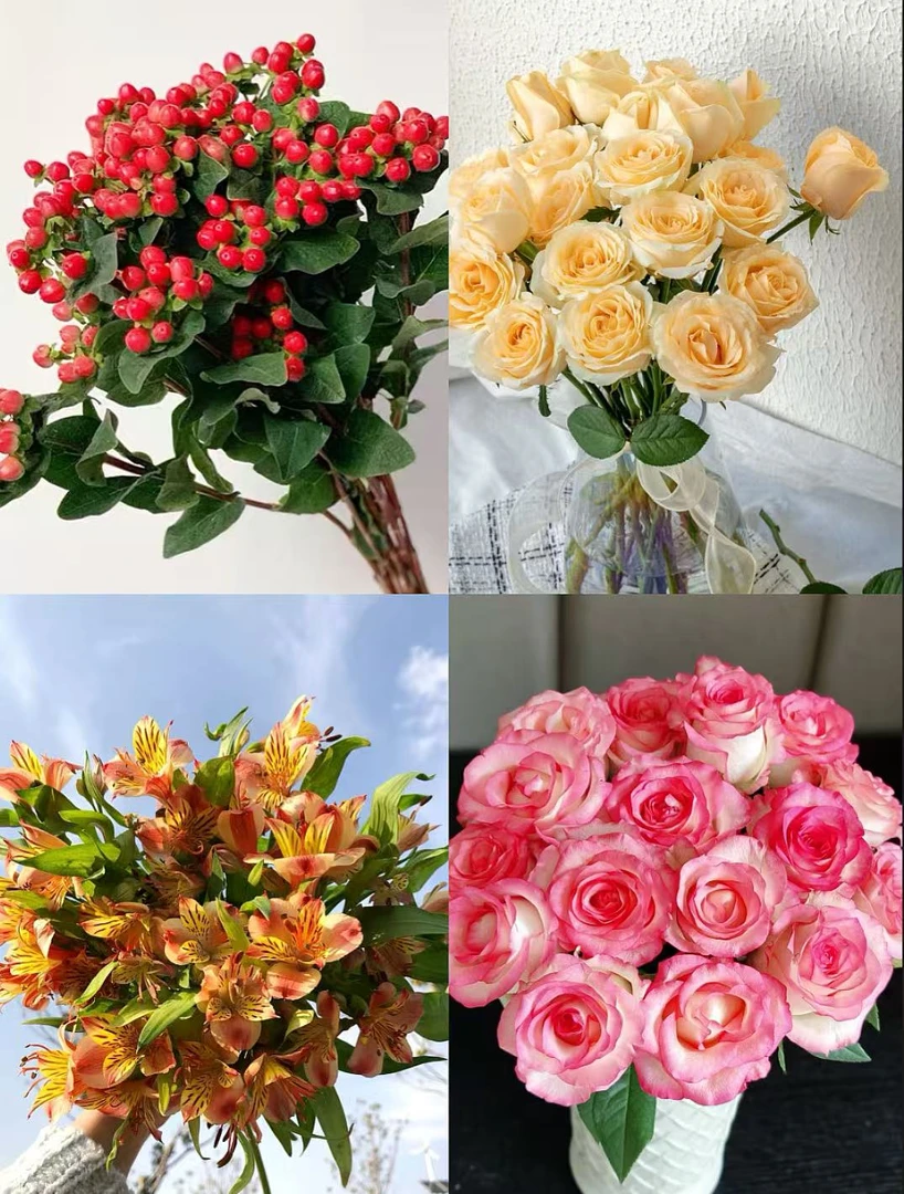 【蜜桃雪山10支+艾莎10支+随机玫瑰10支+红豆1份+水仙百合1份 】