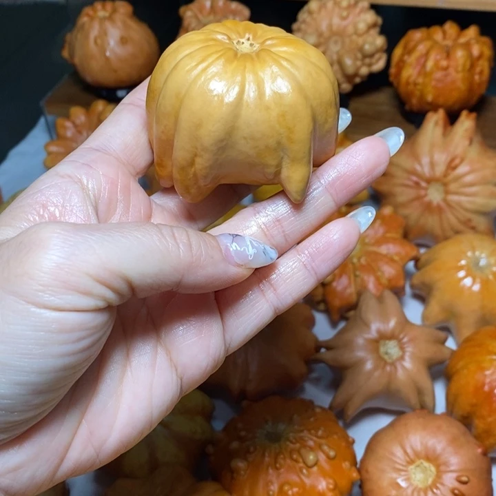 水母福利不退不换