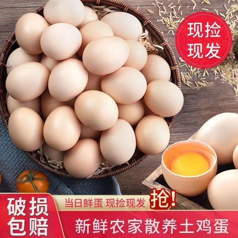 【推荐】【整箱50枚】t正宗农家散养土鸡蛋新鲜草鸡蛋 40-50克/枚