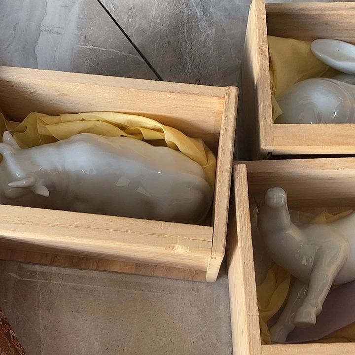 老***乐发发发发发发发发发兔子