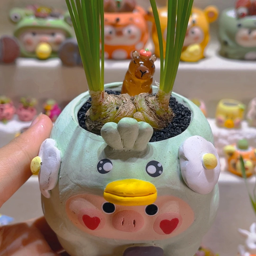 075细叶弹簧草带盆带土手工盆