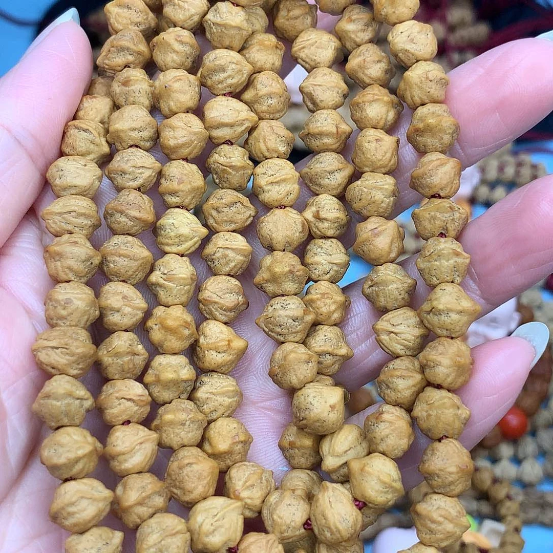 栢香籽！白芽原桩横打