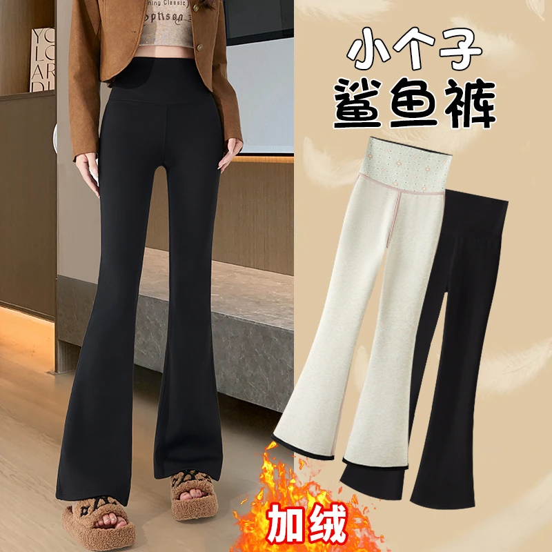 145小个子加绒微喇鲨鱼裤女外穿冬款155矮个子高腰显瘦弹力喇叭裤
