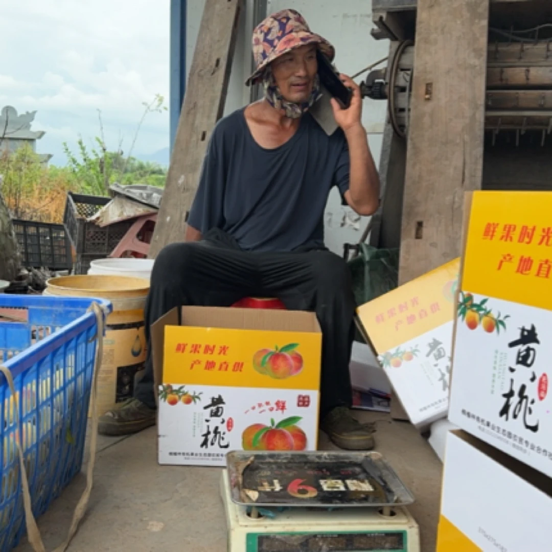 正宗辰溪高山黄桃脆甜好吃特大果中果大果混发顺丰包邮