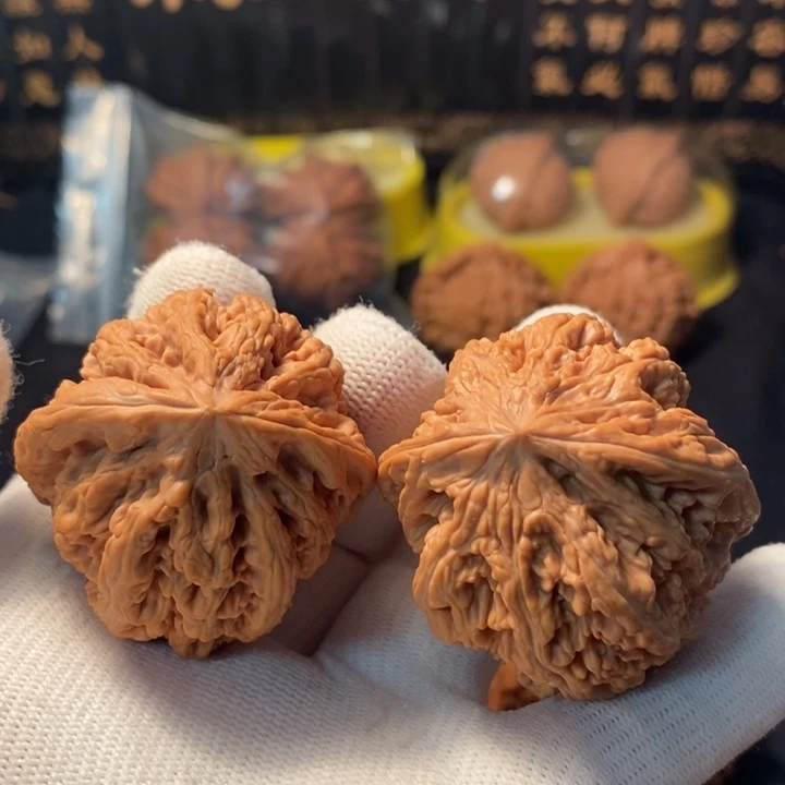 文玩核桃吊坠天残粗筋41