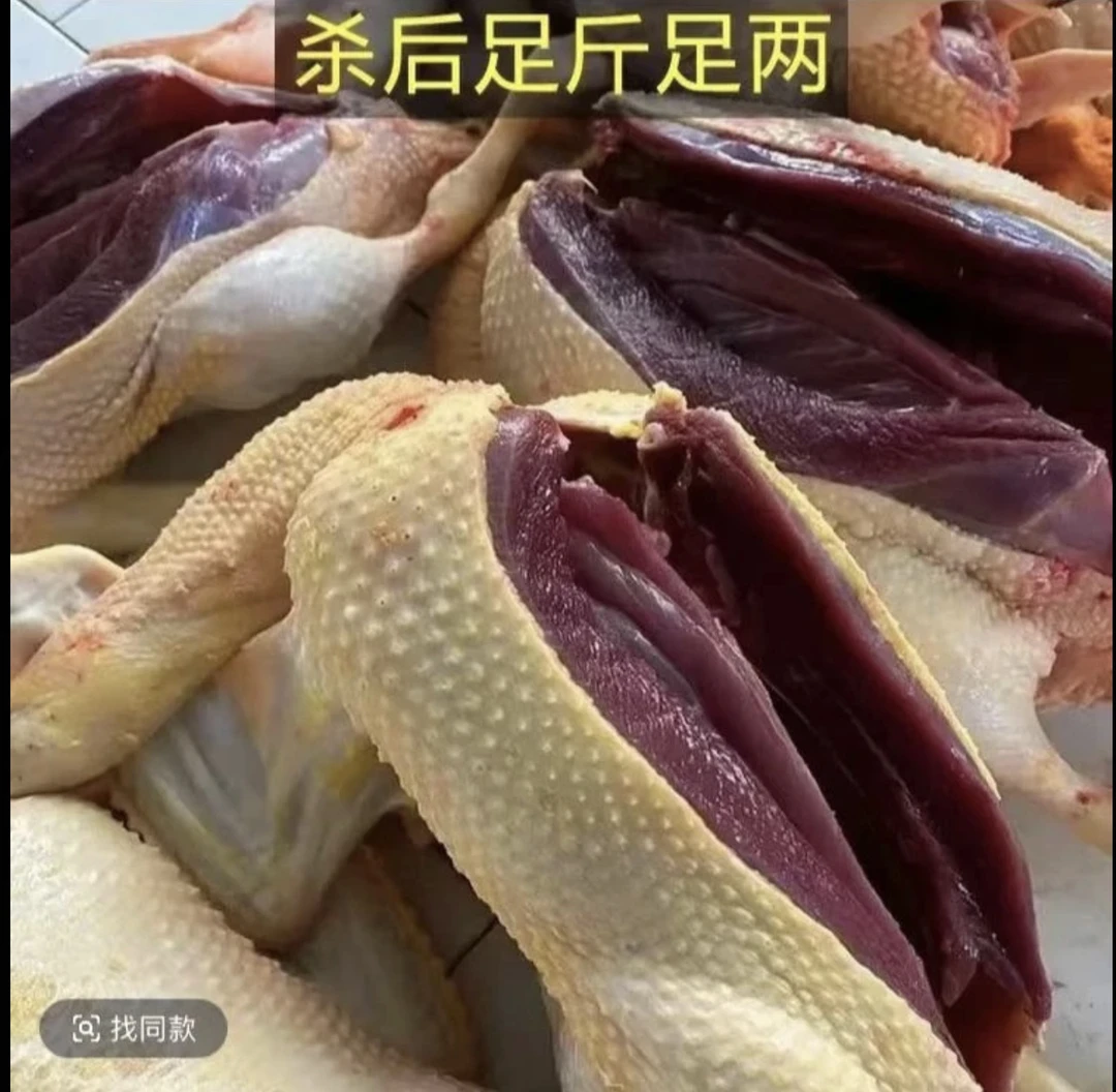 精选3只农家散养土鸭新鲜宰杀急冻锁鲜顺丰京东土鸭无掌翅内脏